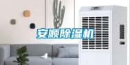 安顺除湿机