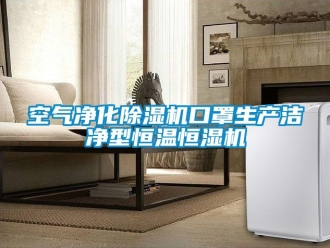 知识百科空气净化除湿机口罩生产洁净型恒温恒湿机
