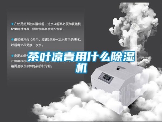 企业新闻茶叶凉青用什么除湿机
