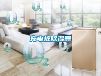企业新闻充电桩除湿器