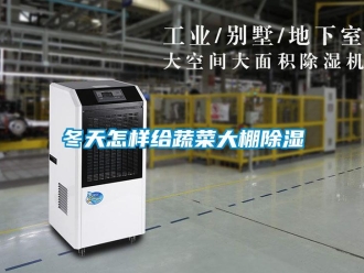 常见问题冬天怎样给蔬菜大棚除湿