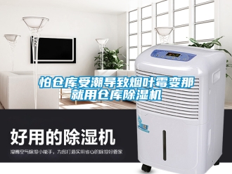 企业新闻怕仓库受潮导致烟叶霉变那就用仓库除湿机