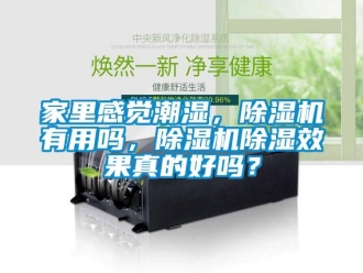 行业新闻家里感觉潮湿，除湿机有用吗，除湿机除湿效果真的好吗？