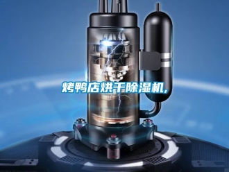 行业新闻烤鸭店烘干除湿机,