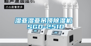 湿亚湿亚吊顶除湿机 SGD-251D