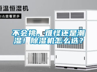企业新闻不会挑，难怪还是潮湿！除湿机怎么选？