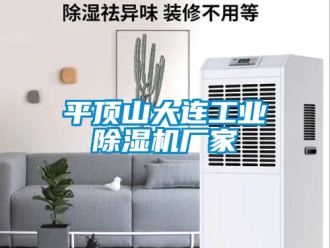 企业新闻平顶山大连工业除湿机厂家