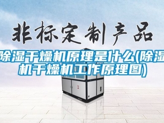 企业新闻除湿干燥机原理是什么(除湿机干燥机工作原理图)