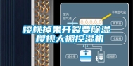 樱桃掉果开裂要除湿 樱桃大棚控湿机