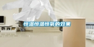 恒温恒温恒氧的效果