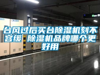 企业新闻台风过后买台除湿机刻不容缓 除湿机品牌哪个更好用