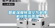 智能深度除湿空气处理机组系统原理
