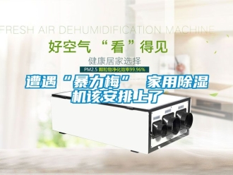 常见问题遭遇“暴力梅” 家用除湿机该安排上了