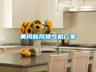 企业新闻黄冈新风换气机厂家