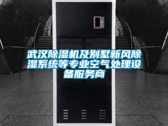 常见问题武汉除湿机及别墅新风除湿系统等专业空气处理设备服务商