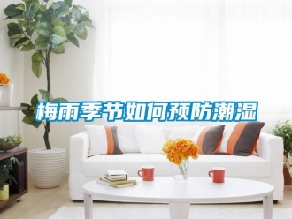 常见问题梅雨季节如何预防潮湿