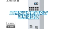 温州东诚高低温交变湿热试验箱