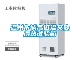 常见问题温州东诚高低温交变湿热试验箱