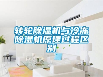 常见问题转轮除湿机与冷冻除湿机原理过程区别