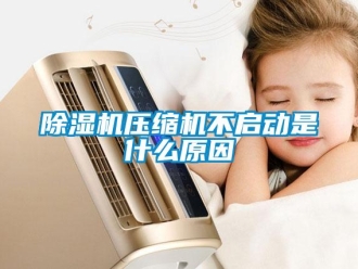 企业新闻除湿机压缩机不启动是什么原因