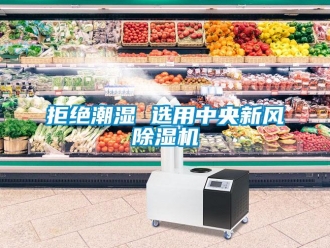行业新闻拒绝潮湿 选用中央新风除湿机