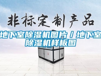 行业新闻地下室除湿机图片／地下室除湿机样板图