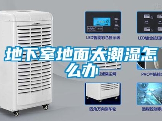 常见问题地下室地面太潮湿怎么办