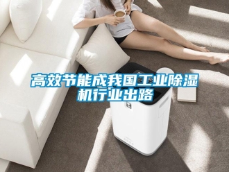 企业新闻高效节能成我国工业除湿机行业出路