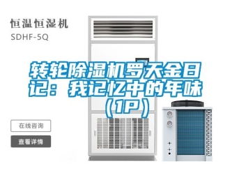 常见问题转轮除湿机罗天金日记：我记忆中的年味 （1P）