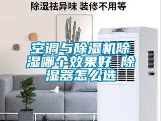 行业新闻空调与除湿机除湿哪个效果好 除湿器怎么选