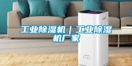 工业除湿机｜工业除湿机厂家