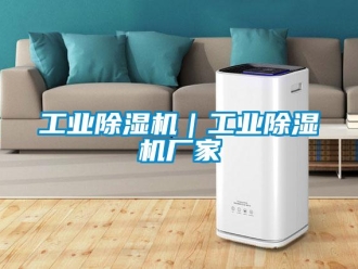 企业新闻工业除湿机｜工业除湿机厂家