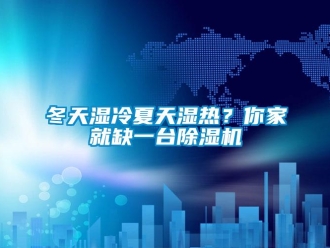 行业新闻冬天湿冷夏天湿热？你家就缺一台除湿机