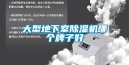 大型地下室除湿机哪个牌子好
