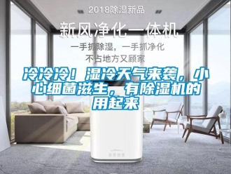 行业新闻冷冷冷！湿冷天气来袭，小心细菌滋生，有除湿机的用起来