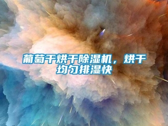 行业新闻葡萄干烘干除湿机，烘干均匀排湿快