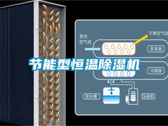 行业新闻节能型恒温除湿机