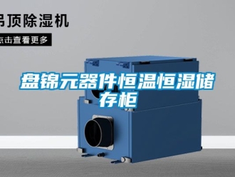 知识百科盘锦元器件恒温恒湿储存柜