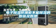 电子除湿防潮柜不能除湿的原因及原理