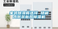 家装除湿新选择 隐藏式吊装新风除湿机