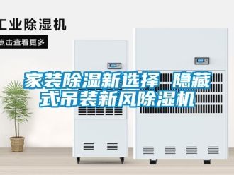 行业新闻家装除湿新选择 隐藏式吊装新风除湿机
