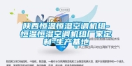 陕西恒温恒湿空调机组-恒温恒湿空调机组厂家定制-生产基地