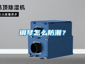 常见问题钢琴怎么防潮？