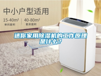 常见问题迷你家用除湿机的工作原理是什么？