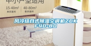 风冷组合式除湿空调机ZCKF40-80