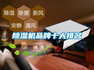 常见问题除湿机品牌十大排名