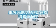 重庆远程控制恒温恒湿试验箱品牌