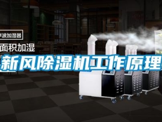知识百科新风除湿机工作原理