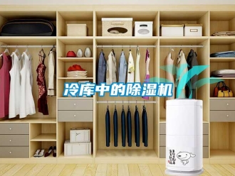 行业新闻冷库中的除湿机
