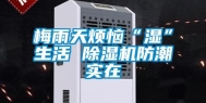 梅雨天烦恼“湿”生活 除湿机防潮实在